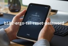 b182-ergo-tel-reset-password